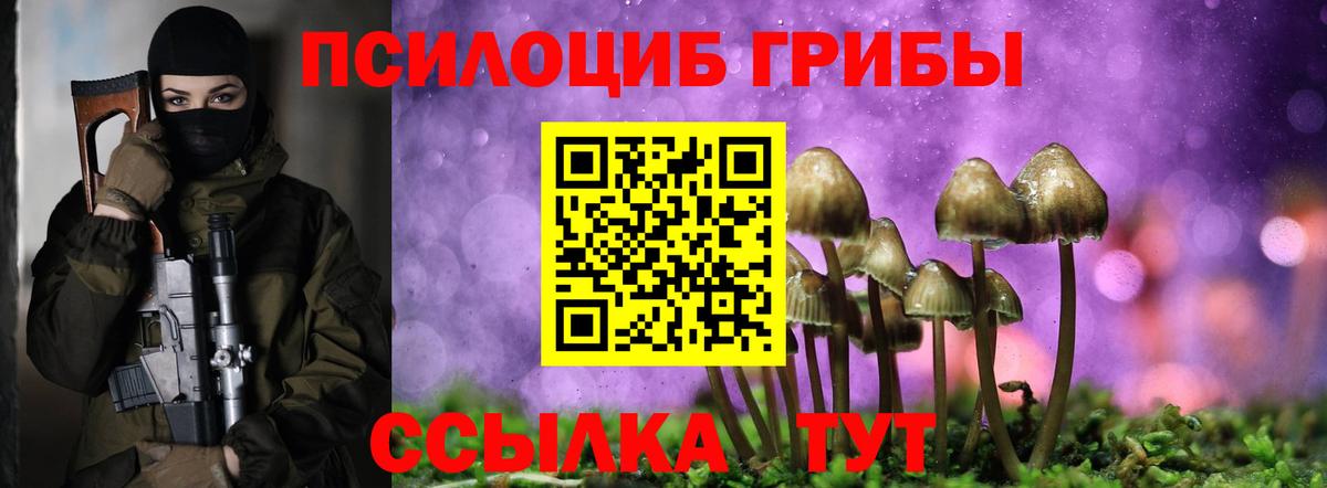 Сатка  Псилоцибиновые грибы Psilocybine cubensis  где можно купить   Вход с VPN 